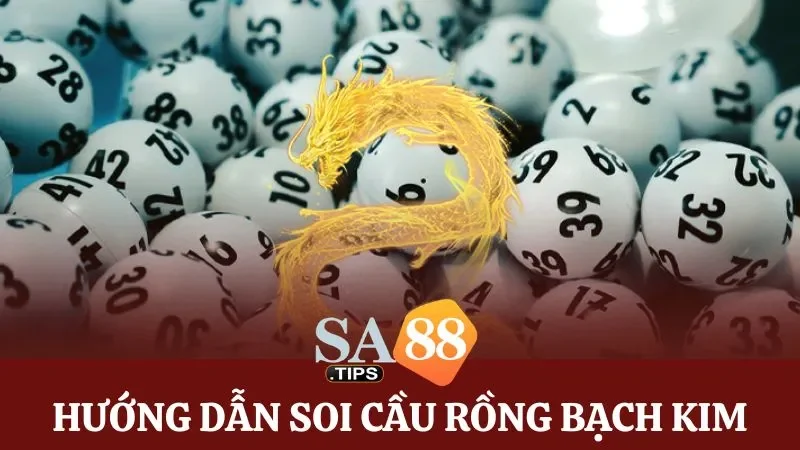 Chi tiết 5 bước soi cầu Rồng Bạch Kim cơ bản. 